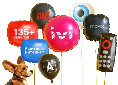 Услуги Дом.ру в Балашихе